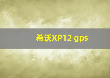 希沃XP12 gps